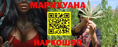 крисы Краснознаменск