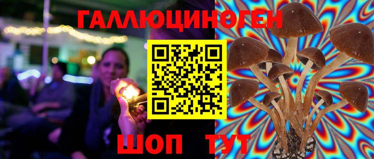 Галлюциногенные грибы Psilocybine cubensis  Вход с VPN  Кохма  Галлюциногенные грибы мицелий 